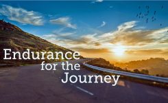 Next Steps: Receive Support From Others