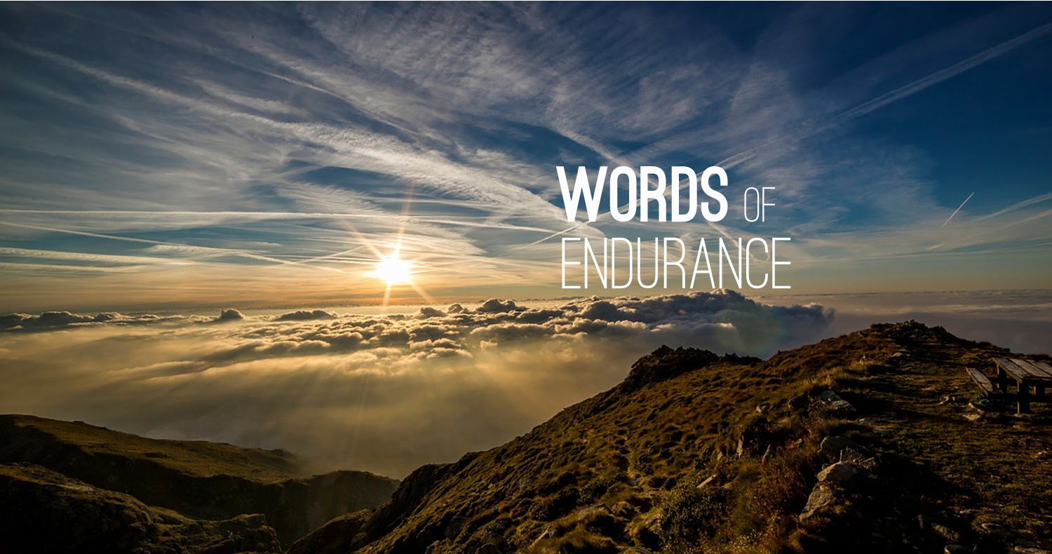 endurance synonym endurance synonym